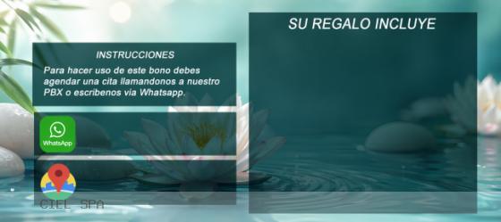 lotus - reverso